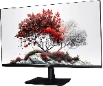 Монитор 27" RDW Computers RDW2701K IPS 1920x1080, 100 Гц, 5 мс, 16:9, 300 кд/м², VGA, HDMI 1.4, DP 1.2, регулировка наклона, VESA 100x100, черный