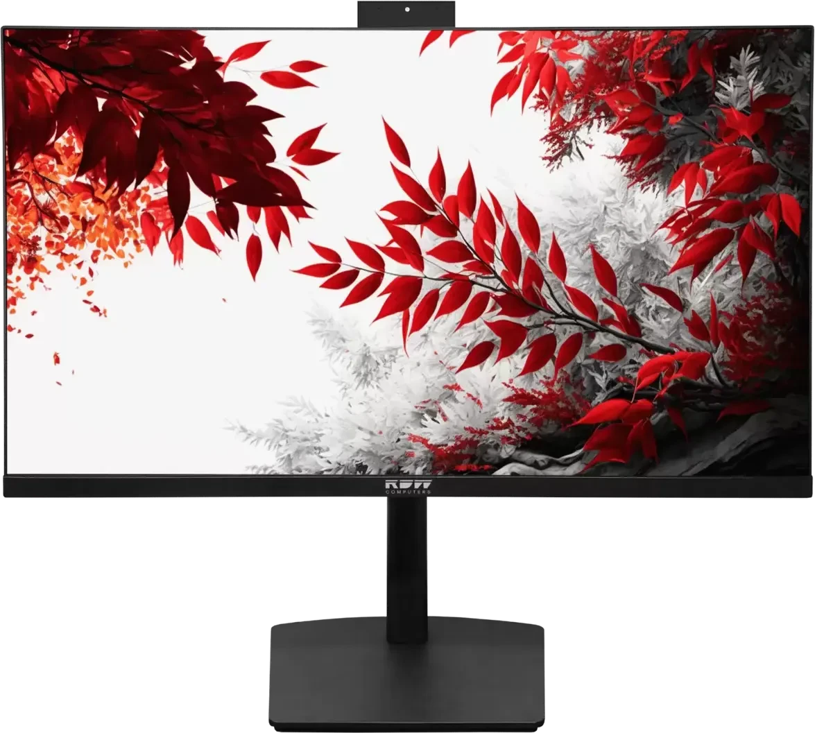 Монитор 23.8" RDW Computers RDW2402K IPS 1920x1080, 100 Гц, 4 мс, 16:9, 300 кд/м², VGA, HDMI 1.4, DP 1.2, USB-C, 3.5 Jack, USB Hub (2x USB 3.2), динамики (2x3 Вт), веб-камера (5 Мп), микрофон, черный